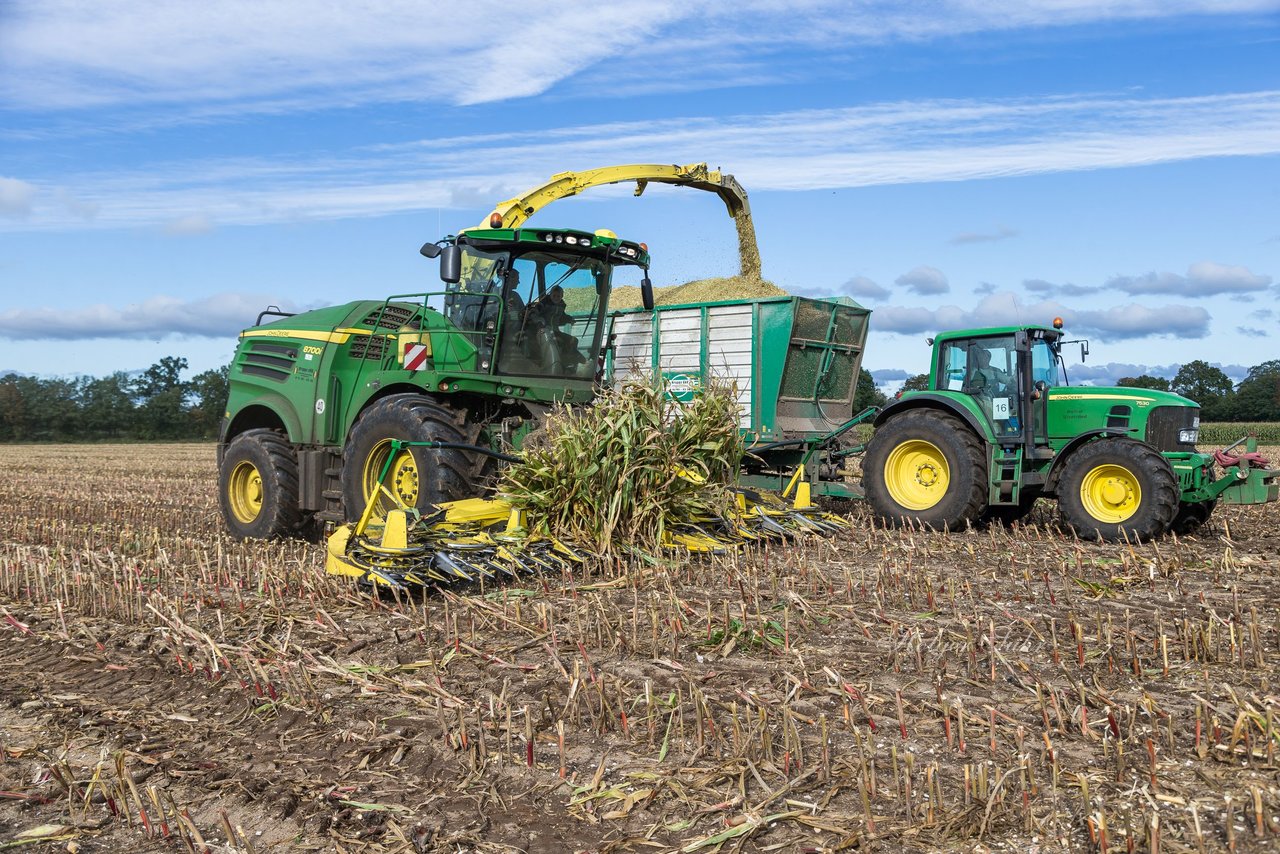 Bild 178 - Maisernte